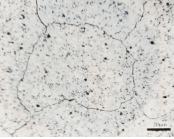 图5　萘断口（500×）