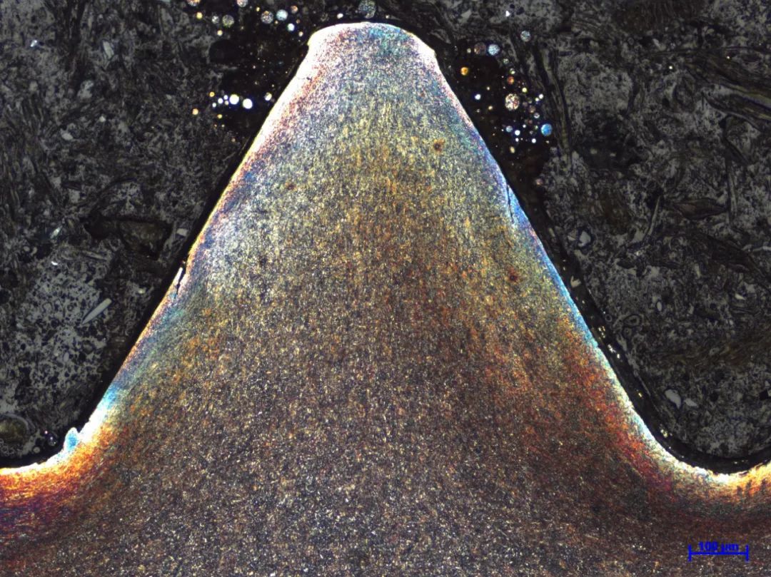 微信图片_20220227154218